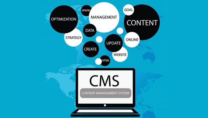Content Management Systems (CMS)